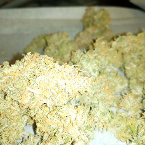 Crystal Candy XL Auto growlog photo: Stunk up my entire apartment building trimming 😂