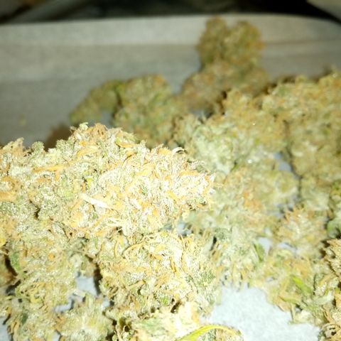 Crystal Candy XL Auto growlog photo: Stunk up my entire apartment building trimming 😂