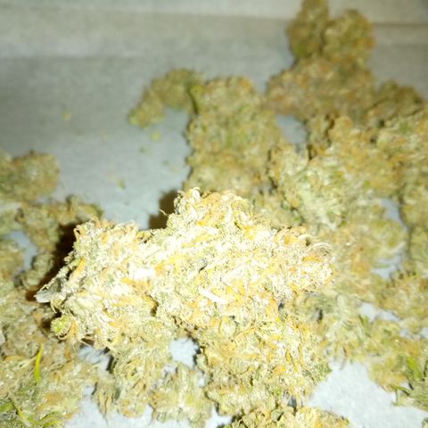 Crystal Candy XL Auto growlog photo: Stunk up my entire apartment building trimming 😂