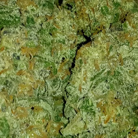 Grape Deebo growlog timeline photo