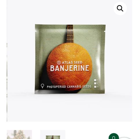 Banjerine growlog timeline photo