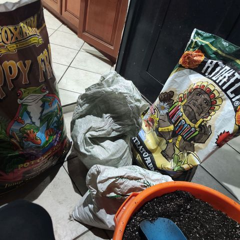 Black Domina growlog timeline photo