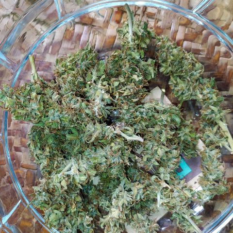 Red Poison 4 growlog photo: Dry Weight 11g 