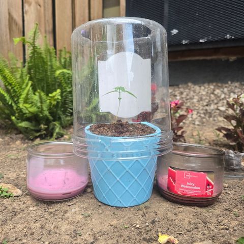 Gushers growlog timeline photo
