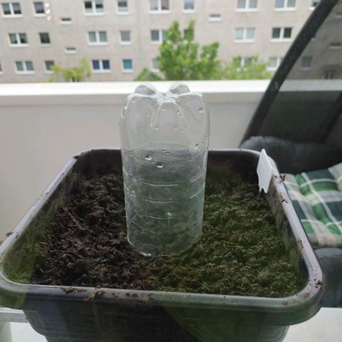 Cookie growlog timeline photo