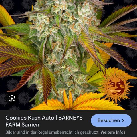 Cookie growlog timeline photo