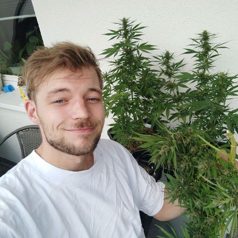 Cookie growlog timeline photo