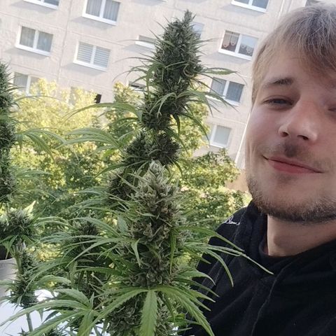 Kriddisch growlog photo: Erntetag