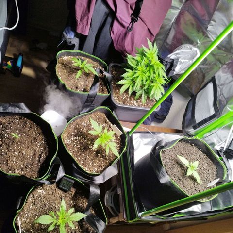 Mix#3 growlog photo: "im freien"haha
