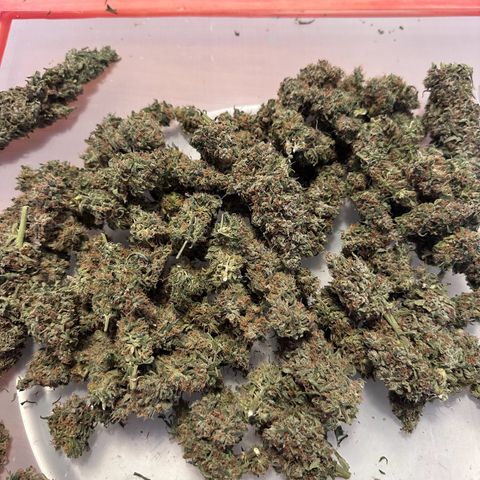 Hill growlog timeline photo