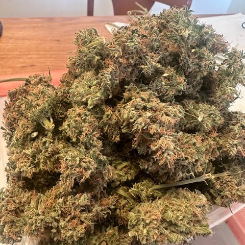 Hill growlog timeline photo