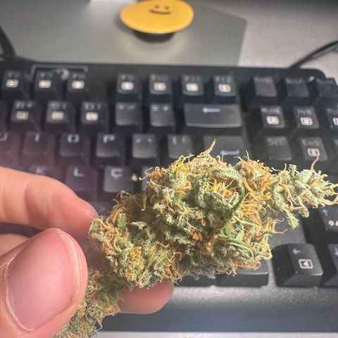 Hill growlog timeline photo