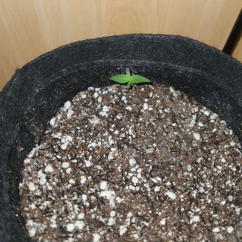 MOBY x ECSD (1) growlog timeline photo