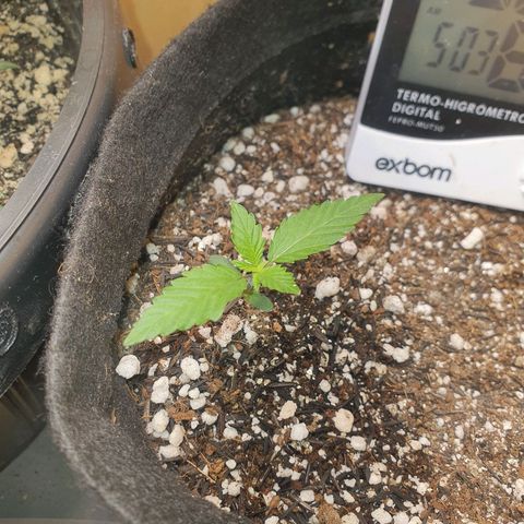 MOBY x ECSD (1) growlog timeline photo