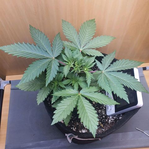 MOBY x ECSD (1) growlog timeline photo