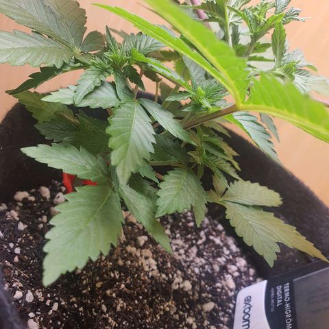 MOBY x ECSD (1) growlog timeline photo