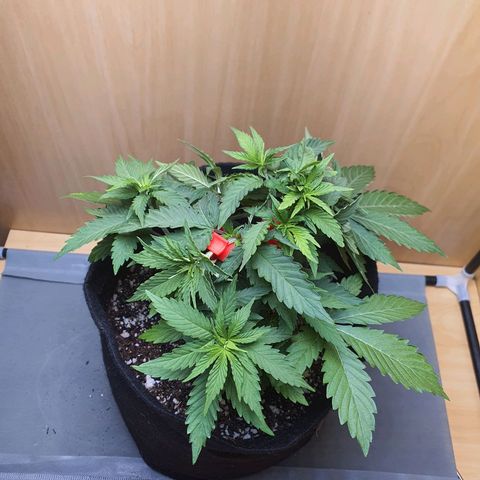 MOBY x ECSD (1) growlog timeline photo
