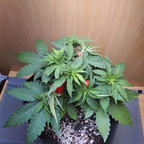 MOBY x ECSD (1) growlog timeline photo
