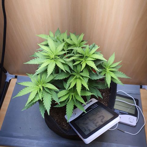 MOBY x ECSD (1) growlog timeline photo