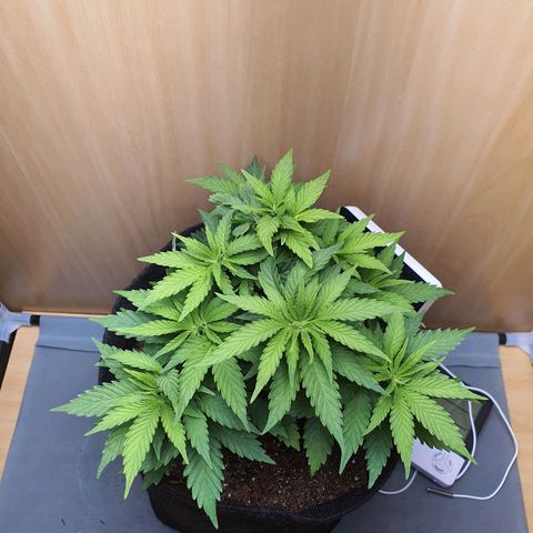 MOBY x ECSD (1) growlog timeline photo