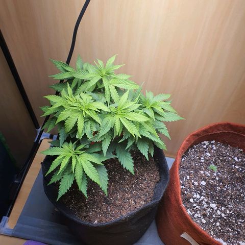 MOBY x ECSD (1) growlog timeline photo