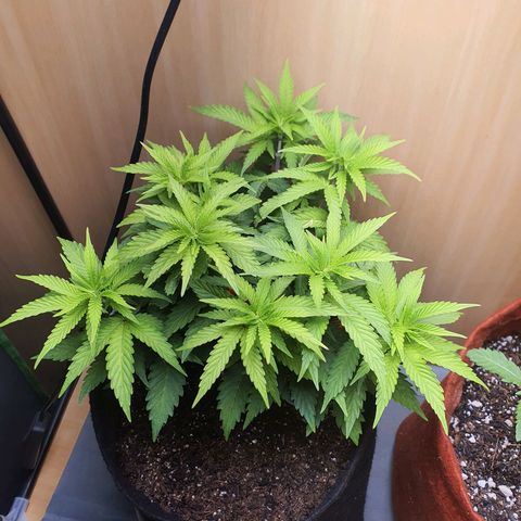 MOBY x ECSD (1) growlog timeline photo