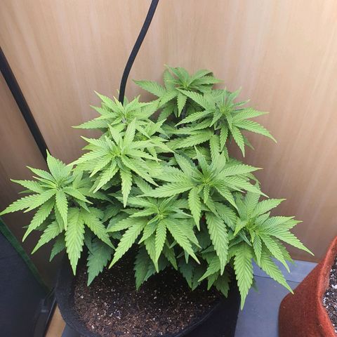 MOBY x ECSD (1) growlog timeline photo