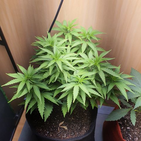 MOBY x ECSD (1) growlog timeline photo