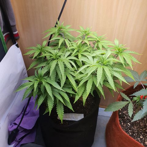 MOBY x ECSD (1) growlog timeline photo