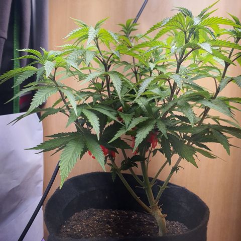 MOBY x ECSD (1) growlog timeline photo