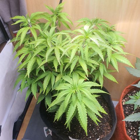 MOBY x ECSD (1) growlog timeline photo
