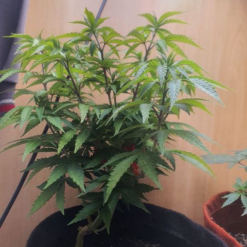 MOBY x ECSD (1) growlog timeline photo