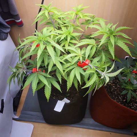 MOBY x ECSD (1) growlog timeline photo