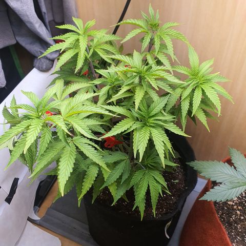 MOBY x ECSD (1) growlog timeline photo