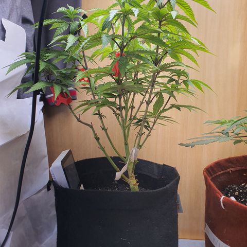 MOBY x ECSD (1) growlog timeline photo