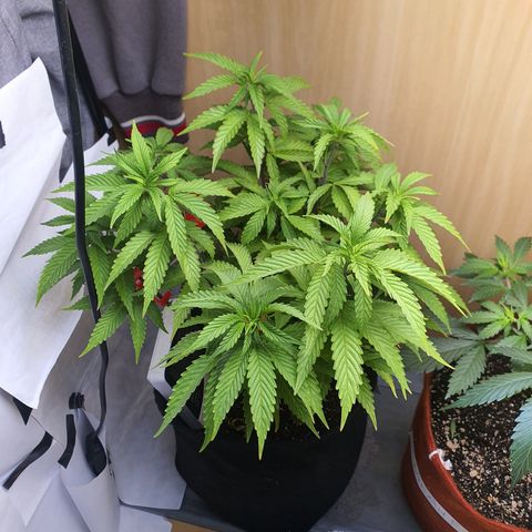 MOBY x ECSD (1) growlog timeline photo