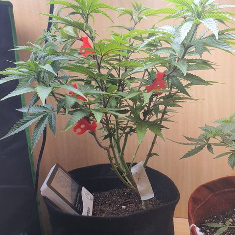 MOBY x ECSD (1) growlog timeline photo