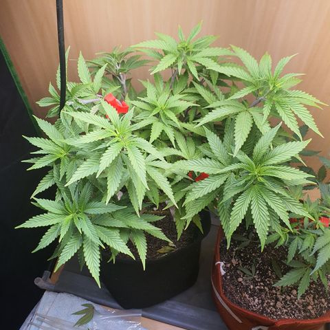 MOBY x ECSD (1) growlog timeline photo