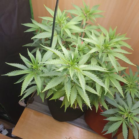 MOBY x ECSD (1) growlog timeline photo