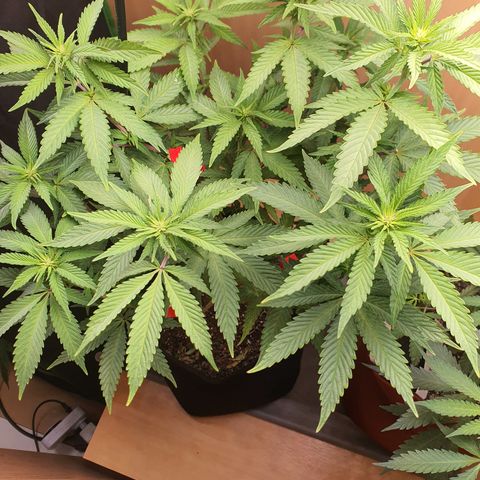 MOBY x ECSD (1) growlog timeline photo