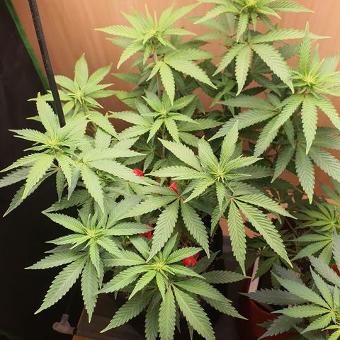 MOBY x ECSD (1) growlog timeline photo