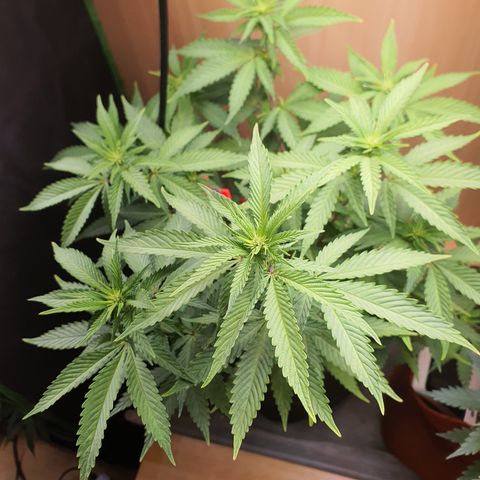 MOBY x ECSD (1) growlog timeline photo