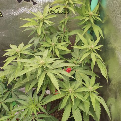 MOBY x ECSD (1) growlog timeline photo