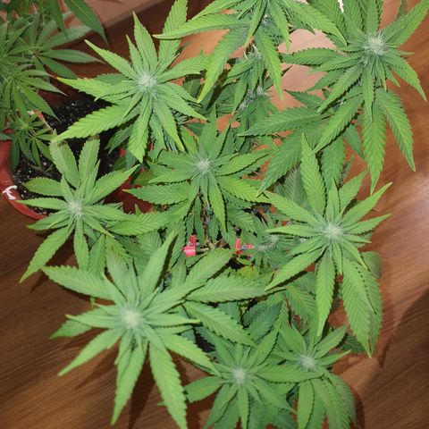 MOBY x ECSD (1) growlog timeline photo