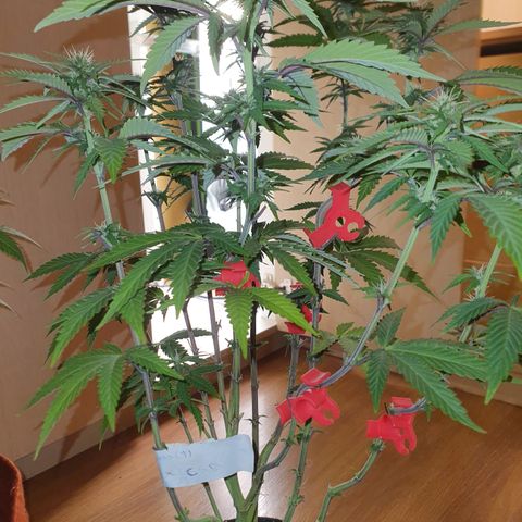 MOBY x ECSD (1) growlog timeline photo