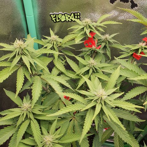 MOBY x ECSD (1) growlog timeline photo