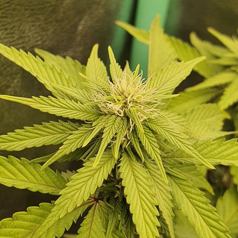 MOBY x ECSD (1) growlog timeline photo