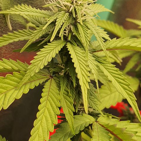 MOBY x ECSD (1) growlog timeline photo