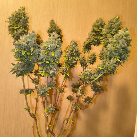 MOBY x ECSD (1) growlog timeline photo