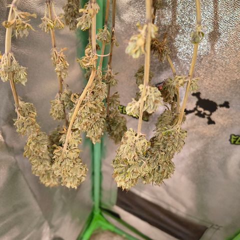 MOBY x ECSD (1) growlog timeline photo